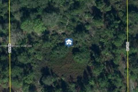 Land in Clewiston, Florida № 1867295 - photo 4