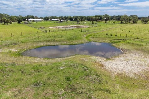 Propiedad comercial en venta en Okeechobee, Florida № 2147106 - foto 17