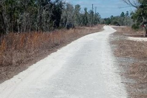 Terreno en venta en Williston, Florida № 2164000 - foto 2