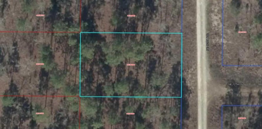 Terreno en Williston, Florida № 2164000