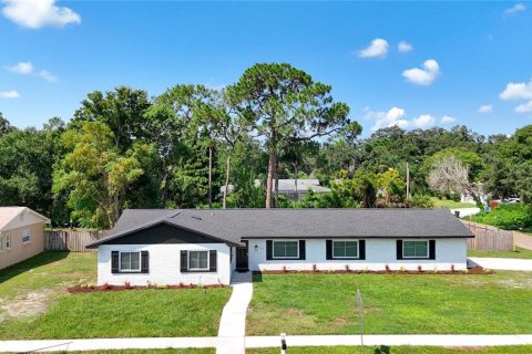Villa ou maison à Brandon, Floride 4 chambres, 171.5 m2 № 2309945