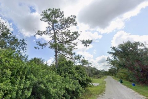Terrain à vendre à Punta Gorda, Floride № 2162139 - photo 6
