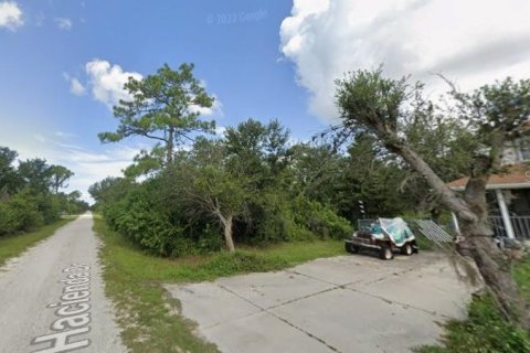 Terrain à vendre à Punta Gorda, Floride № 2162139 - photo 5