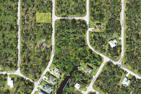 Land in Port Charlotte, Florida № 2218539 - photo 2