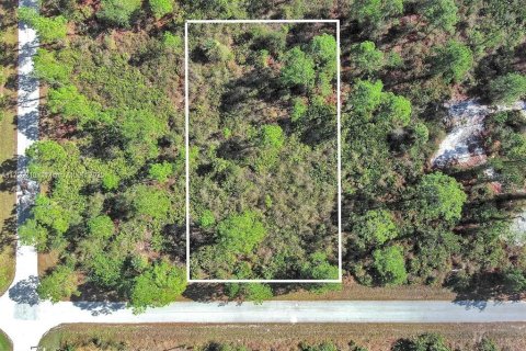 Land in Lehigh Acres, Florida № 2164295 - photo 2