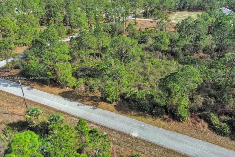 Land in Lehigh Acres, Florida № 2164295 - photo 5