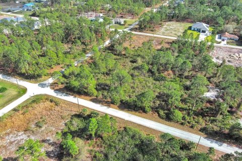 Land in Lehigh Acres, Florida № 2164295