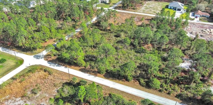 Land in Lehigh Acres, Florida № 2164295