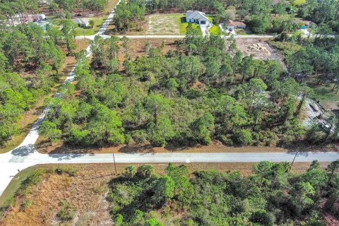 Land in Lehigh Acres, Florida № 2164295 - photo 9