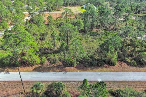 Land in Lehigh Acres, Florida № 2164295 - photo 6