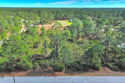 Land in Lehigh Acres, Florida № 2164295 - photo 7