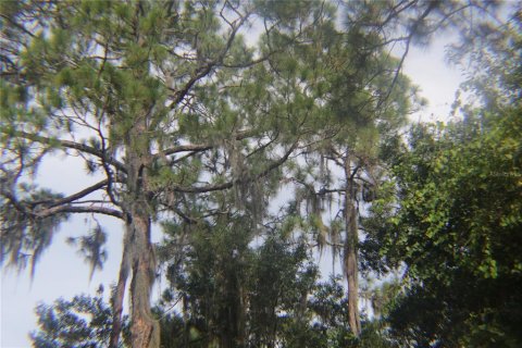 Land in Lake Wales, Florida № 251766 - photo 17