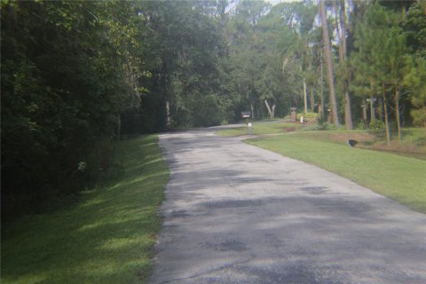 Land in Lake Wales, Florida № 251766 - photo 14