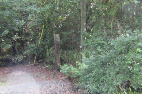 Land in Lake Wales, Florida № 251766 - photo 12