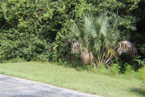 Land in Lake Wales, Florida № 251766 - photo 11