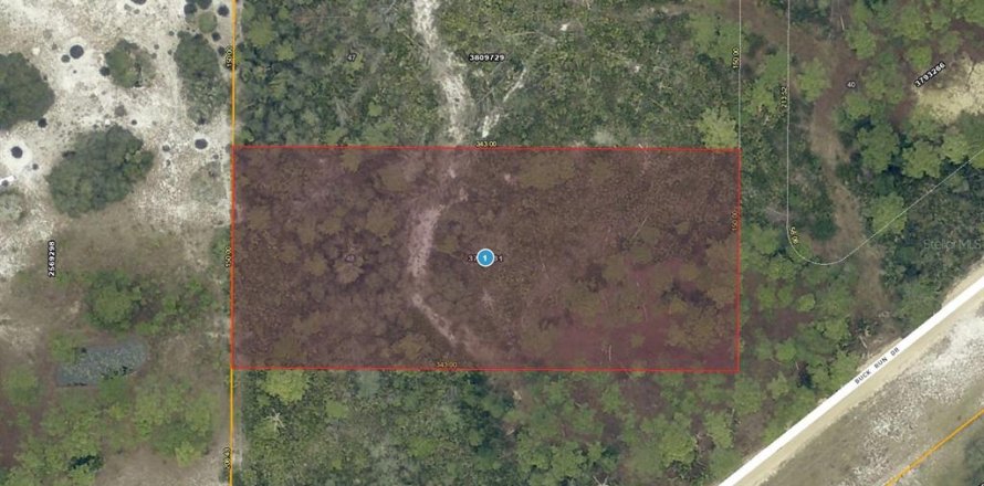 Terrain à Paisley, Floride № 2234584