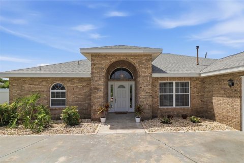 Villa ou maison à vendre à Palm Coast, Floride: 3 chambres, 174.84 m2 № 2201919 - photo 3