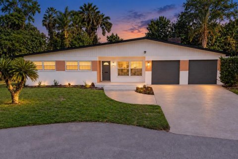 House in Tampa, Florida 4 bedrooms, 256.22 sq.m. № 2314716