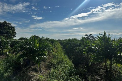 Immobilier commercial à vendre à Homestead, Floride № 2003770 - photo 8