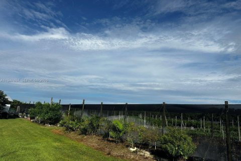 Immobilier commercial à vendre à Homestead, Floride № 2003770 - photo 5