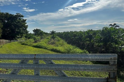 Immobilier commercial à vendre à Homestead, Floride № 2003770 - photo 7