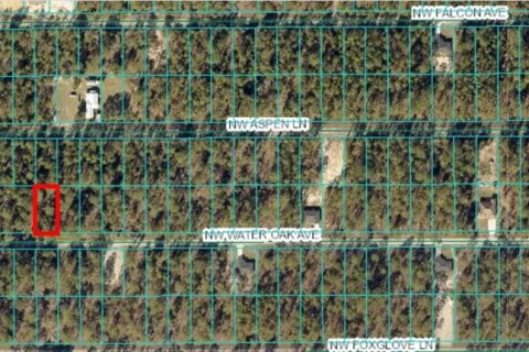Land in Dunnellon, Florida № 2165240