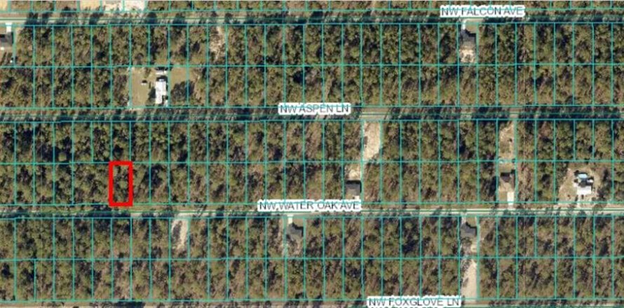 Land in Dunnellon, Florida № 2165240