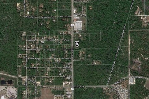 Land in Crystal River, Florida № 1295353 - photo 2