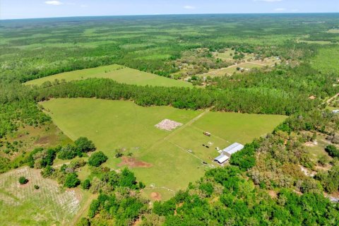 Land in Clermont, Florida № 1545056 - photo 17