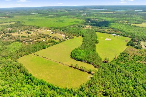 Land in Clermont, Florida № 1545056 - photo 21