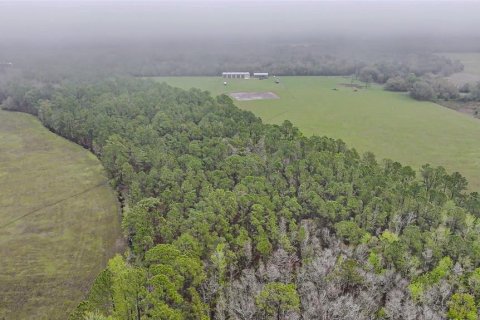 Land in Clermont, Florida № 1545056 - photo 15