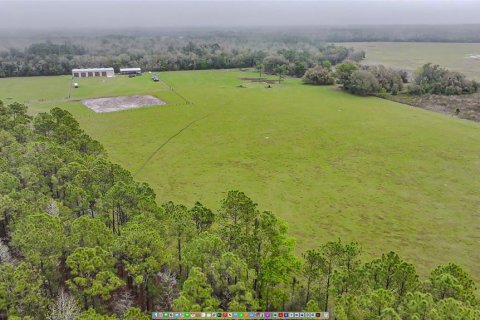 Land in Clermont, Florida № 1545056 - photo 14