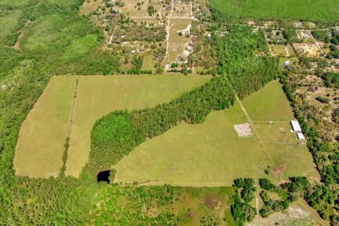 Land in Clermont, Florida № 1545056 - photo 30