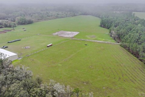 Land in Clermont, Florida № 1545056 - photo 13