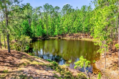 Land in Clermont, Florida № 1545056 - photo 19