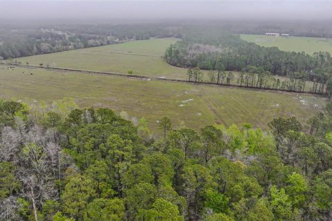 Land in Clermont, Florida № 1545056 - photo 12