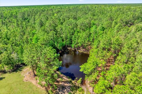 Land in Clermont, Florida № 1545056 - photo 20