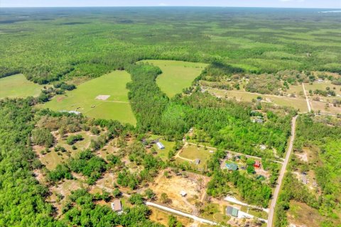 Land in Clermont, Florida № 1545056 - photo 26