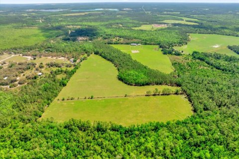 Land in Clermont, Florida № 1545056 - photo 22