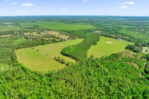 Land in Clermont, Florida № 1545056 - photo 18