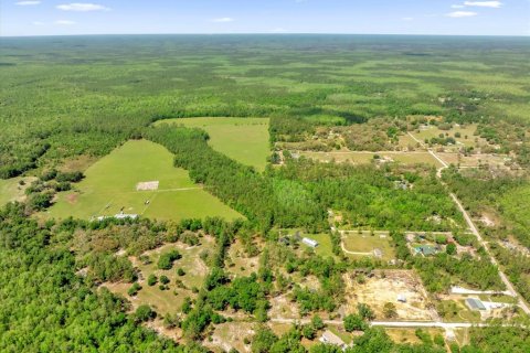 Land in Clermont, Florida № 1545056 - photo 27