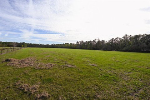 Land in Clermont, Florida № 1545056 - photo 1