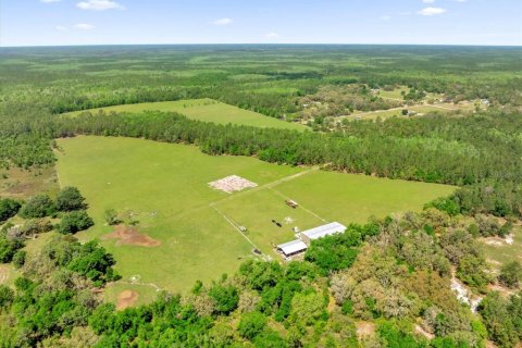 Land in Clermont, Florida № 1545056 - photo 29