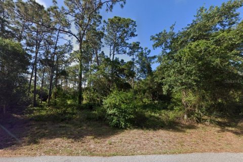 Land in Port Charlotte, Florida № 2160289 - photo 2