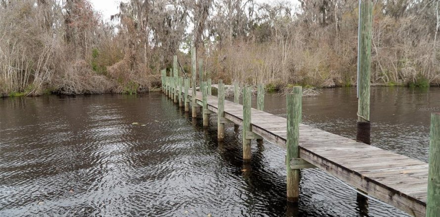 Terrain à Palatka, Floride № 2118283