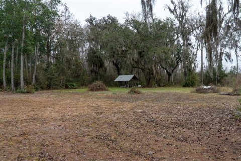 Terrain à vendre à Palatka, Floride № 2118283 - photo 4