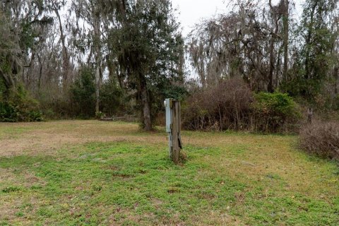Terrain à vendre à Palatka, Floride № 2118283 - photo 7
