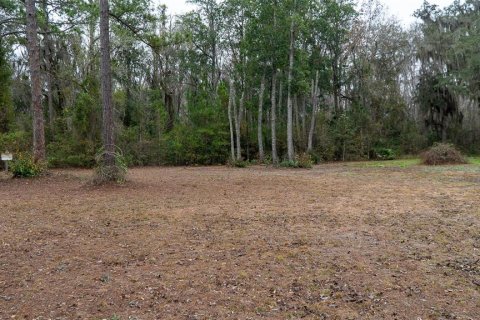 Terrain à vendre à Palatka, Floride № 2118283 - photo 3