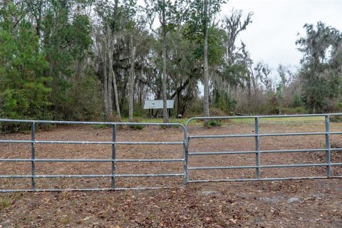 Terrain à vendre à Palatka, Floride № 2118283 - photo 2