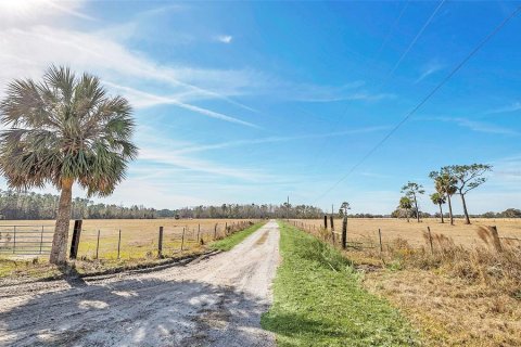 House in Eustis, Florida 3 bedrooms, 199 sq.m. № 1540128 - photo 5
